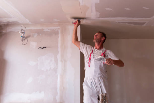 Trusted Norwalk, IA Dry wall and painting Experts