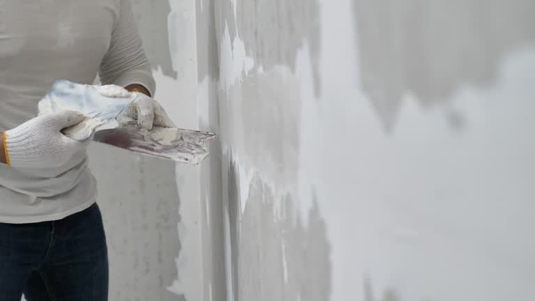 Best Wall Texturing and Painting  in Norwalk, IA